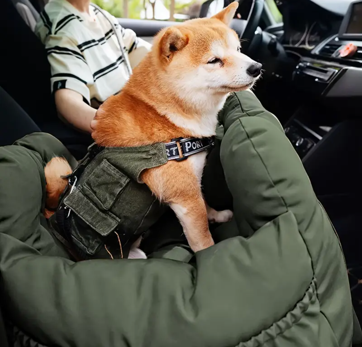 Ultimate Travel Nest For Your Dog